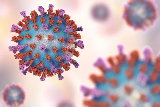 photo of rsv virus